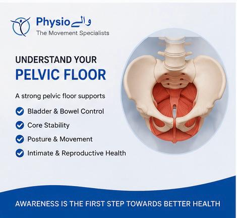 Understand your pelvic floor: support for bladder and bowel control, core stability, posture, and intimate health